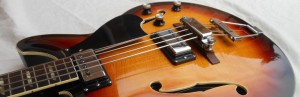 cropped-SA70-Sunburst-DSCN1315.jpg