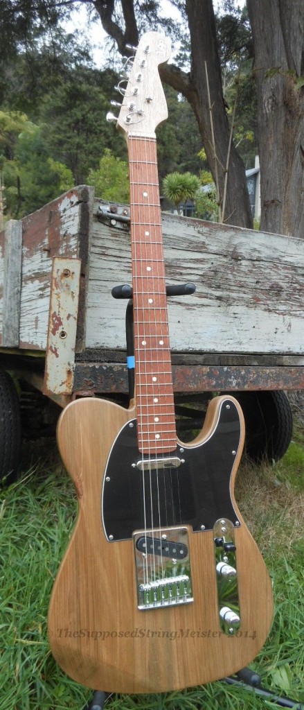 38 - Tele - JvPP Telecaster 01 - front ver - DSCN1580